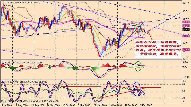 070209 usdx d.gif